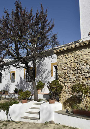 Salle de bain Finca las rosas de santa ana