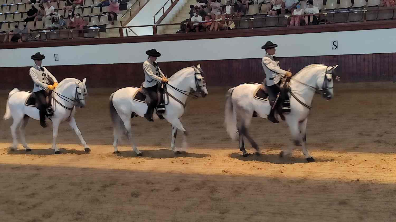 Real Escuela Andaluza del Arte Ecuestre Real Escuela Andaluza del Arte Ecuestre