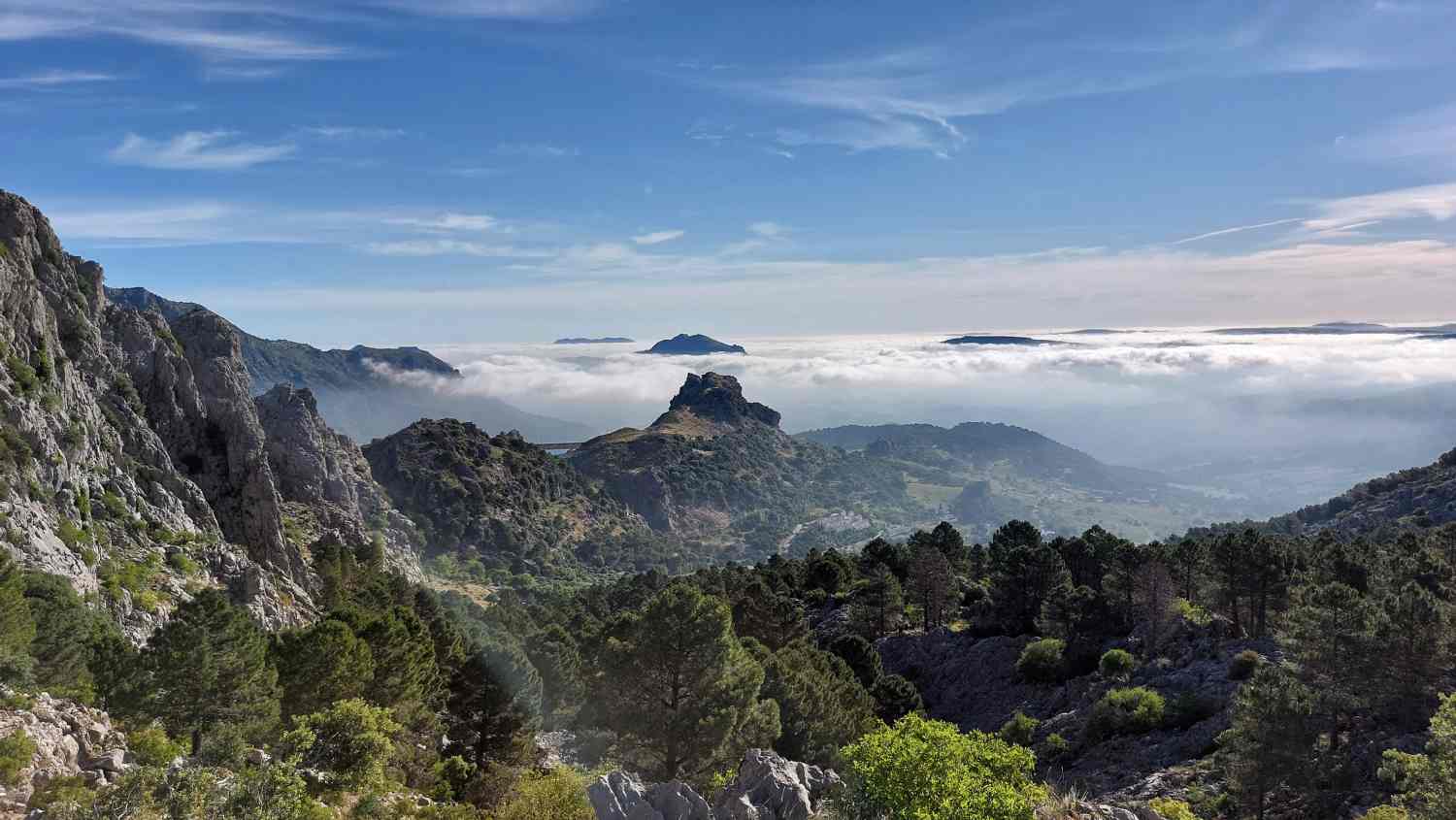 grazalema-sendero