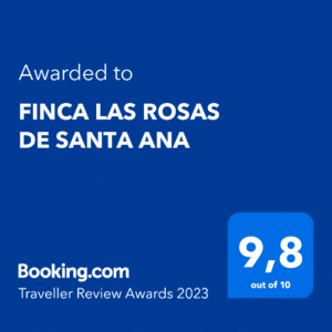 Digital-Award-TRA-2023