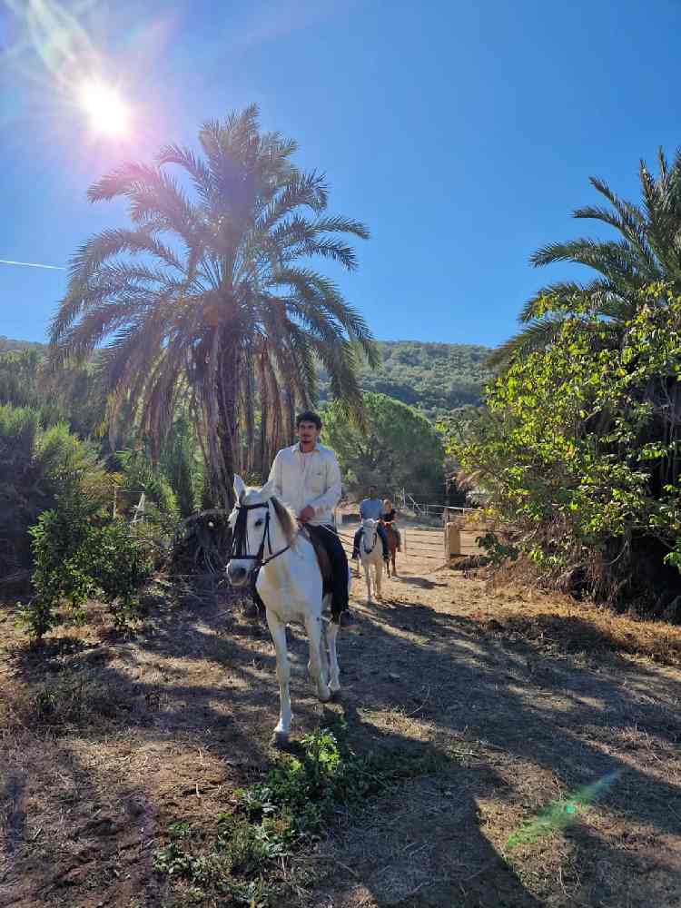 Balade-cheval-1